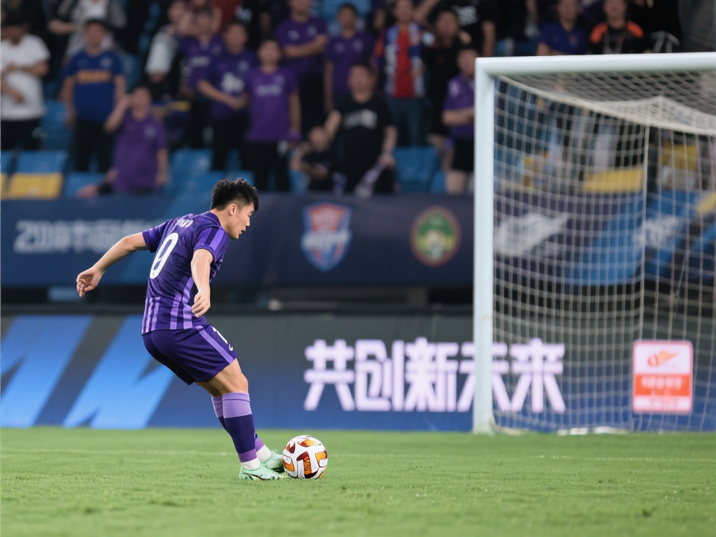 无疑为球迷 无疑为球迷