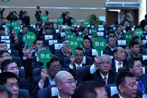 第十届中国足球协会第三次会员大会决议